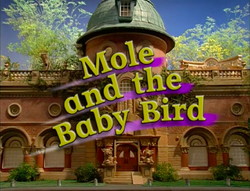 Mole And The Baby Bird Title Card