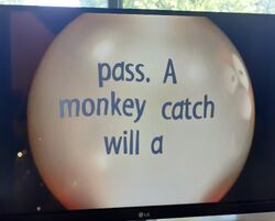 Swami Marmy A Monkey Will Catch A Pass.jpg