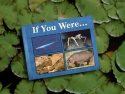 If You Were.jpg