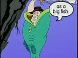 A big fish
