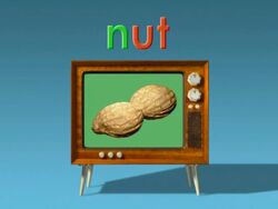 Television Word Morph nut, nap, napkin.jpg