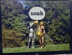 Gawain's Word Soak.jpg