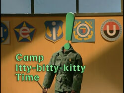 Camp Itty-Bitty-Kitty Time.jpg