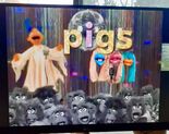 Martha Reader and the Vowelles Pig with adding the letter s in the word "Pigs" 3