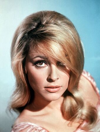 Sharon Tate Beverly Hillbillies Wiki Fandom