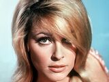 Sharon Tate