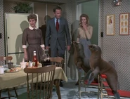 Esmeralda sneezes up some "Christmas Seals".