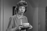 Mrs. Kravitz is shocked to see the spots appear on Samantha's face.