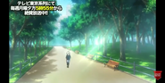 Shu jogging in park