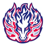 SamuraiPegasisStoneFace