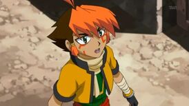 Niel2.jpg