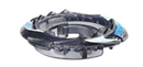 Pisces (Official Image)