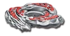 BeybladeLegendsHyperbladesLDragoDestructorFSEnergyRing