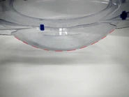 00006.jpg (224 KB) The bowl-like surface.