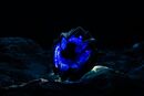 DranBuster teaser.[1]