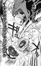 Robin's "Xtreme Dash Dissection Judgment" with Reaper Incendio T 4-70K.