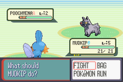 Mudkip vs Poochyena