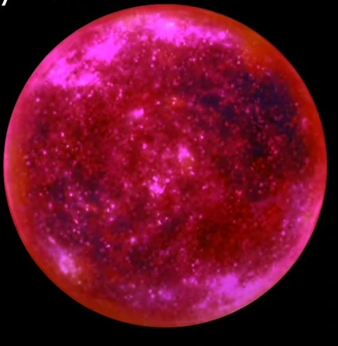 Infinity-Verse | Beyond Observable Universe Wiki | Fandom