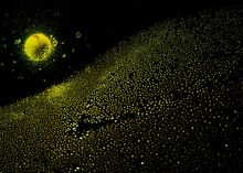 The , visible in the top left is the  core, and in the bottom is the  field.