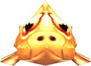 Vu de face