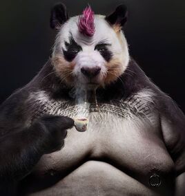 BGE2-Hsing-hsing-portrait