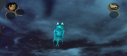 Vorax nocturnus au refuge du phare sud
