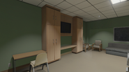 The hospital