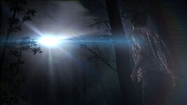 Hunted