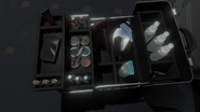 Stella's makeup bag
