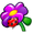 Kwiatek
