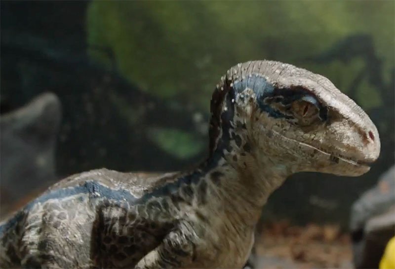 blue in jurassic park
