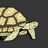 The White Tortoise's avatar