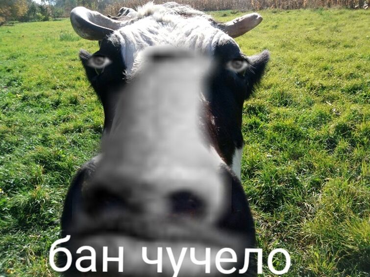 Там бан. Мемы с коровами. Мемы про бан. Корова Мем. Бан чучело.