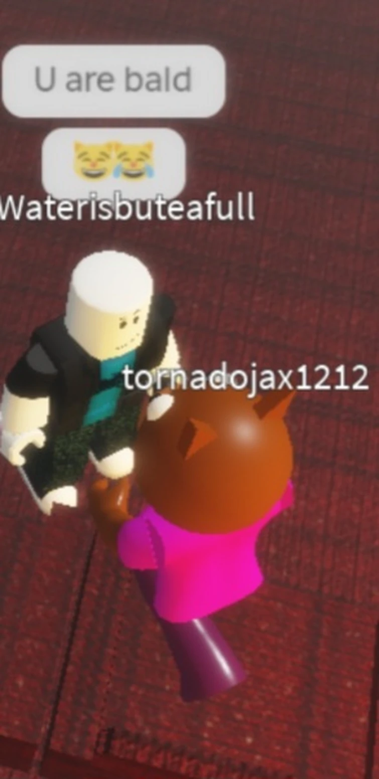 Discuss Everything About Roblox Wiki Fandom