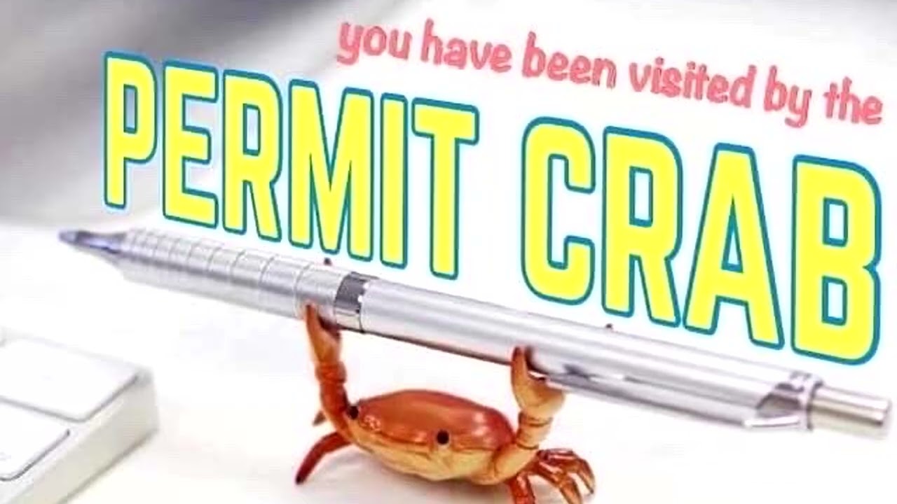 Permit Crab