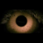 Lion's Eye's avatar