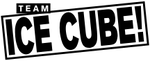 TeamIceCube