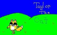 Taylor the cat drewn by taylor mcfall. character illustrated by kelsey dodson