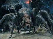 Shelob33