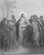 Dore 41 Mark02 The Disciples Pick Corn on the Sabbath