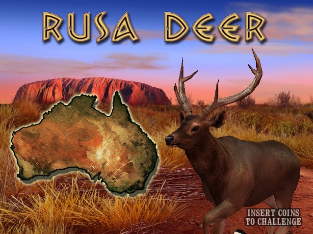 Rusa deer deals