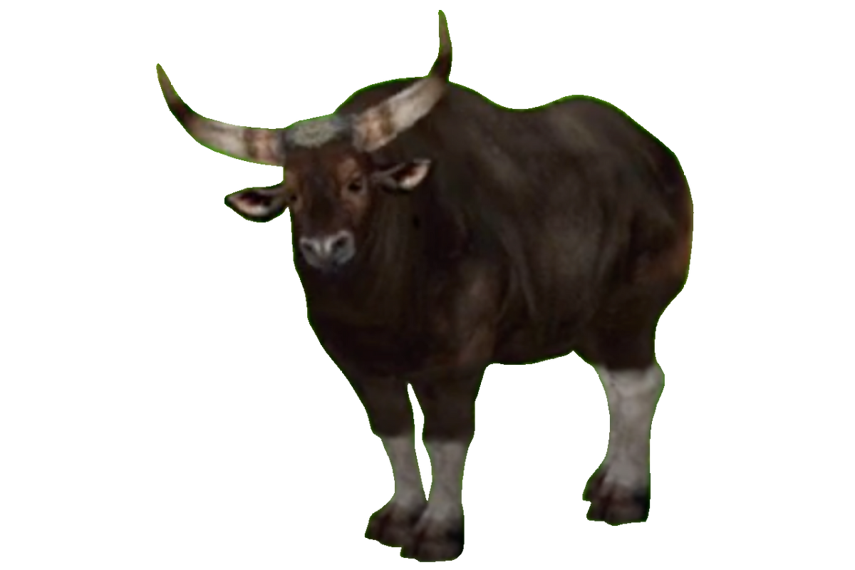 Banteng, TheHunter: Call of the Wild Wiki