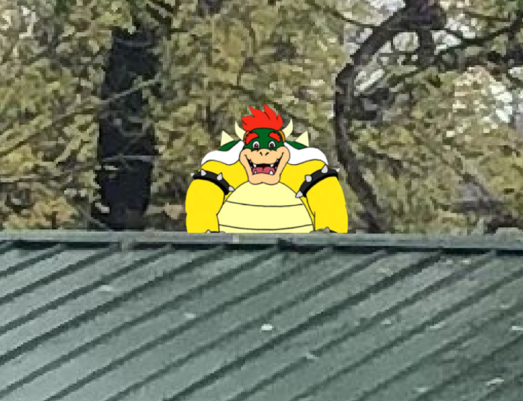 Bowser Farts