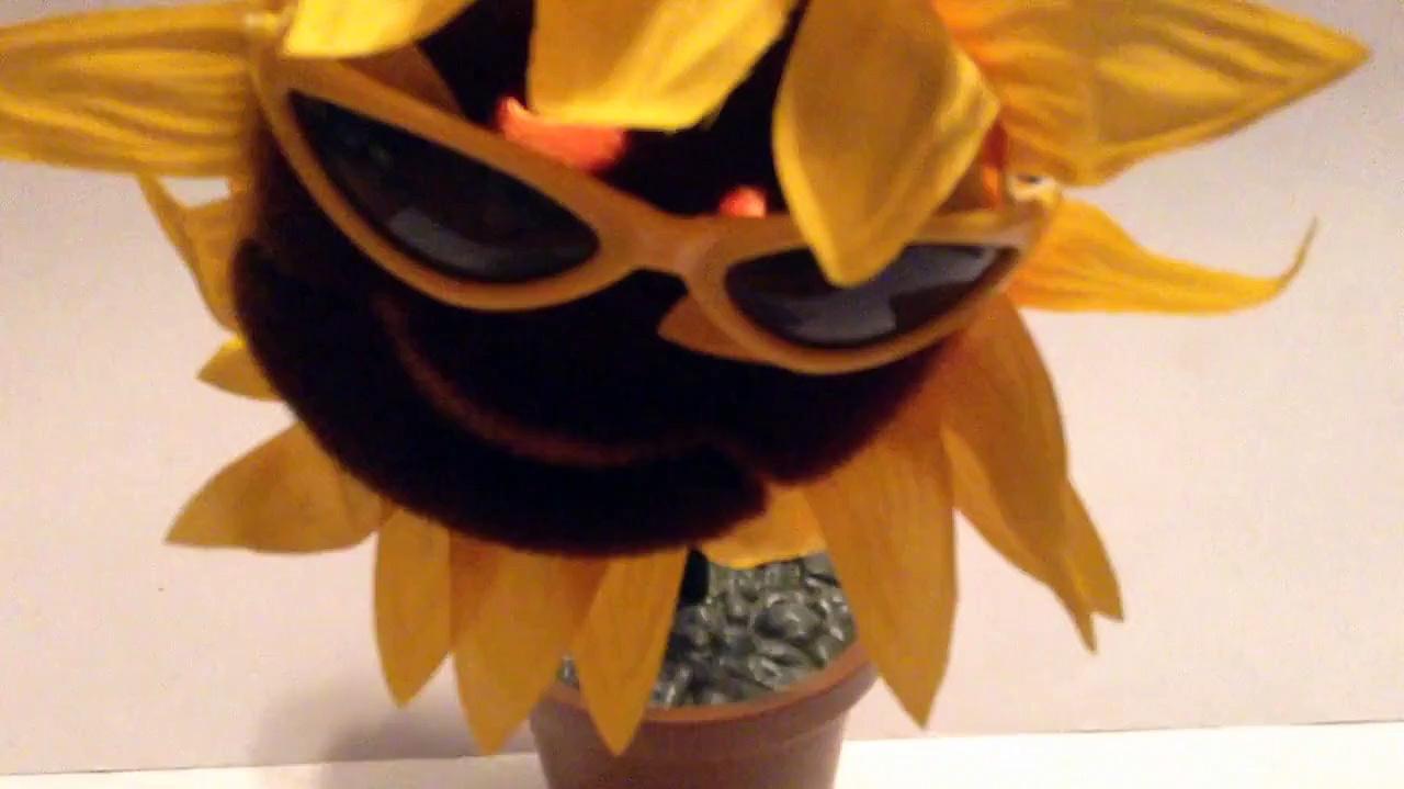 Sunny the Sunflower