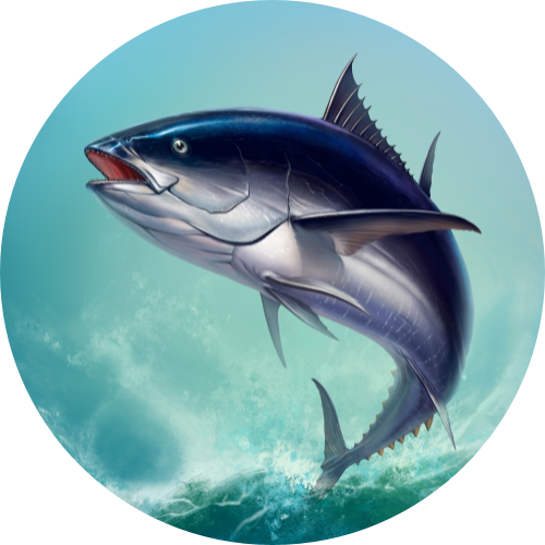 Big Tuna Wiki Fandom