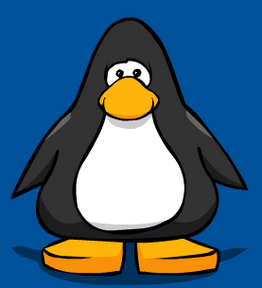 Average Penguin