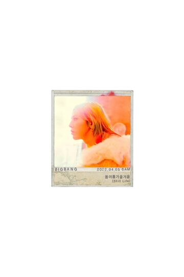 G-Dragon | BIGBANG Wiki | Fandom