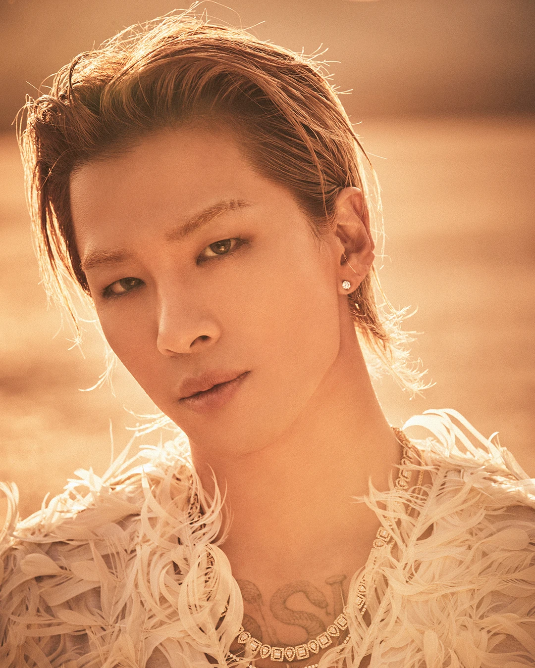 SOL(from BIGBANG)/TAEYANG 2017 WORLD TO… TAEYANG 2017 WORLD TOUR