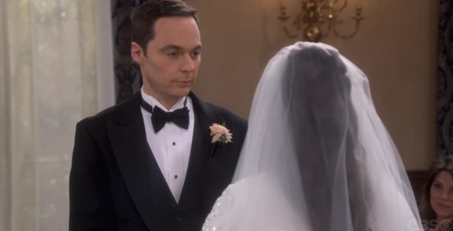 Sheldon loved that study.