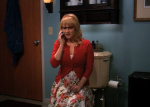 Bernadette phone amy